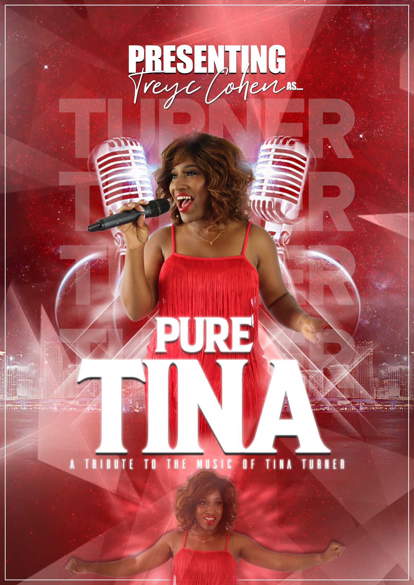 Tina Turner Tribute Night